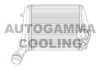 AUTOGAMMA 105377 Intercooler, charger